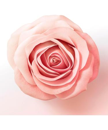 Pantene Apr s-shampoing paississant Biotine Et Eau De Rose Lift & Volume XL Avec Pompe 1000 ml Lift & Volume Apr s-shampoing nouvelle formule - Buy Online on GoSupps.com