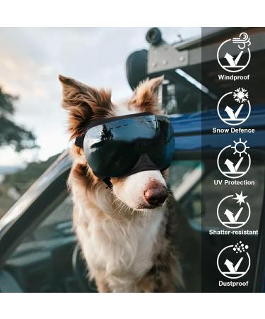 Shop Ownpets Anti-UV Dog Sunglasses | Magnetic Silver Lens | Windproof & Adjustable for Medium & Large Dogs - Buy Online on GoSupps.com