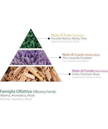  DIAMOND INTERNATIONAL Challenger Sails Maestrale | Revitalizing shower gel for men ideal for daily use 300 ml - Buy Online on GoSupps.com