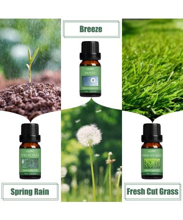 Spring Essential Oils Set for Aromatherapy and Candle Making - Gardenia, Jasmine, Peppermint, Fresh Cut Grass, Spring Rain Breeze Scent Oil - Buy Online on GoSupps.com