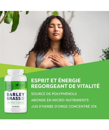 Vimergy G lules de Jus d'Herbe d'Orge 30 portions Jus d'Herbe d'Orge Super Vert Sans Agents Anti-Agglom rants Additifs Ar mes ou Sucre - V g talien sans OGM et sans Gluten (240 g lules) 240 unit (Lot de 1) - Buy Online on GoSupps.com
