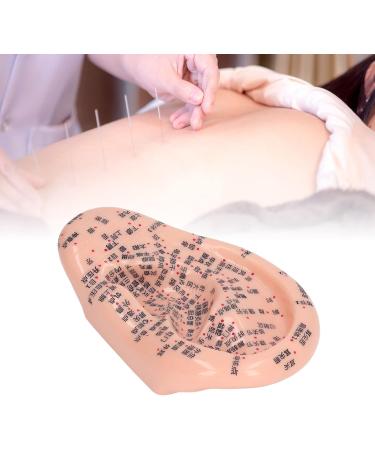 Shop 6.7 Inch Silicone Ear Acupuncture Model - Precision Ear Zone & Pressure Point Massage Tool (1PC) - Ideal for Acupuncture Practitioners - Buy Online on GoSupps.com