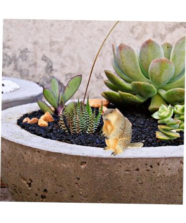 OUNONA 4 Pcs Animal Model Mini Resin Animals Decor Miniature Groundhog Figure Mini Figurine Mini Top Hat Groundhog Stuffed Animal Kids Toys Desk Trinkets Plastic Child Rabbit Bonsai As Shownx2pcs 6x6cmx2pcs - Buy Online on GoSupps.com