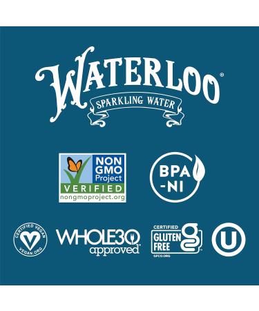 Waterloo Sparkling Water - Summer Berry Flavor (12 Oz Cans Pack of 12) | Zero Calories Sugar-Free & Naturally Flavored - International Shipping Available - Buy Online on GoSupps.com