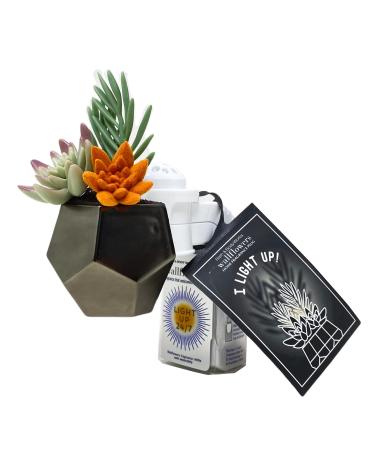 Bath & Body Works Plug Geo Succulent Nightlight Wallflowers Fragrance Plug and a Strawberry Lip Balm. - Buy Online on GoSupps.com