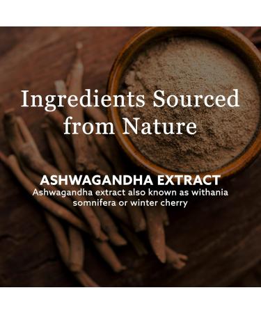 New Nordic Ashwagandha Gummies - Dietary Supplement for Stress Relief & Energy Support - Sugar-Free Non-GMO Gluten-Free & Dairy-Free - 60 Vegan Gummies (Pack of 3) - Buy Online on GoSupps.com