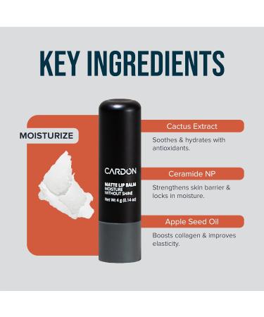 Cardon Lip Balm for Men - Matte Finish Anti-Shine - Deeply Hydrating Lip Moisturizer for Dry Chapped Lips that Smooth and Soothes with Korean Formulation - 4 Pack - Buy Online on GoSupps.com