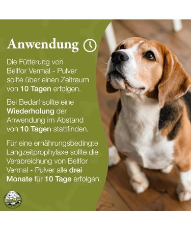 Buy Bellfor Vermal Powder 250g - Natural Dog Nutritional Supplement for Worms & Intestinal Parasites - Fast International Shipping - Buy Online on GoSupps.com
