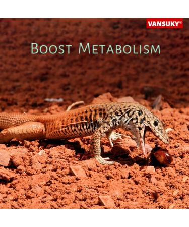 VANSUKY 100W Ceramic Heat Emitter for Reptiles Amphibians Dogs Cats and etc No Light Infrared Heat Lamp for Terrariums and Vivariums 100.0 Watts - Buy Online on GoSupps.com