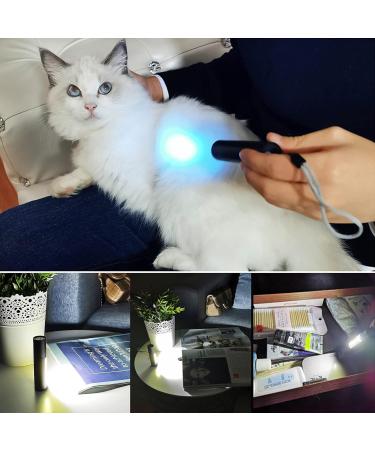 HUHKOUAE Wood's lamp cat Ringworm Detector Pet Urine Detector With side lights UV Black light for Analyzing Skin Dog Cat Care Bed Bug Inspection - Buy Online on GoSupps.com
