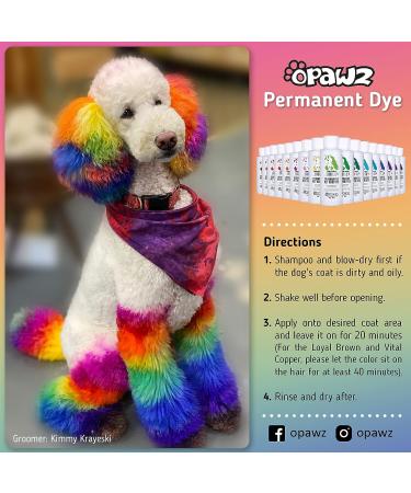 Opawz Permanent Pet Hair Dye - Grooming Salon Safe, Lasts 20+ Washes, Bright Hot Red Color for Dogs & Horses - Buy Online on GoSupps.com