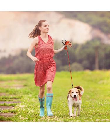 Buy Lynxking Reflective Dog Leash 4.5m - Durable Nylon Training Line with Carabiner Hook for Small Medium & Large Dogs - Purple - Buy Online on GoSupps.com