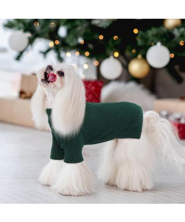 Iecoii Dog Sweater - Warm Turtleneck Winter Sweater for Small to Large Dogs & Cats | Perfect for Chihuahuas French Bulldogs & Labradors - X-Small Green - Buy Online on GoSupps.com