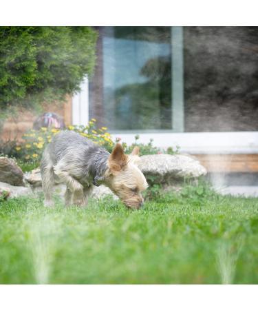 Acungji 4-Piece Adjustable Reptile Fogger Nozzle | 360 Cooling Sprinkler for Rainforest Tanks | Ideal for Pet Reptiles - Buy Online on GoSupps.com