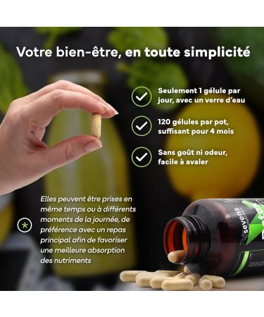 Chardon Marie - Complexe D tox Foie - Avec Artichaut Pissenlit Pr le Choline et Vitamines B6 et B12-120 G lules D tox pour le Foie et le C lon - Fortement Dos avec 80% de Silymarine - Buy Online on GoSupps.com