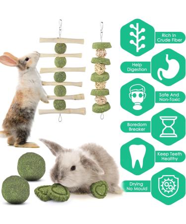 Erkoon Rabbit Chew Toys - 11-Piece Natural Apple Wood & Timothy Hay Set for Bunnies Chinchillas & Guinea Pigs - Dental Care & Fun! - Buy Online on GoSupps.com