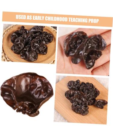 TOPBATHY 10pcs Simulation Vegetables Agarics Props Fake Agarics Vegetables Model Lifelike Veggies Vegetable Photography Props Small Agarics Decoration Wall Fake Black Fungus Food Pvc Dark Brown 5.00X4.20X1.00CM - Buy Online on GoSupps.com