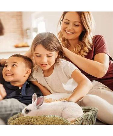 Luoji Bird Nesting Material Natural Coconut Fiber Comfortable Bedding For Small Birds And Animals Great For Nest Building And Hideouts - 100g - Buy Online on GoSupps.com