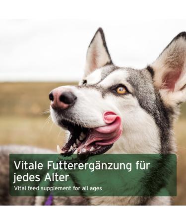 AniForte Rice Flakes for Raw Food 1kg - Barf Supplement for Dogs - Buy Online on GoSupps.com