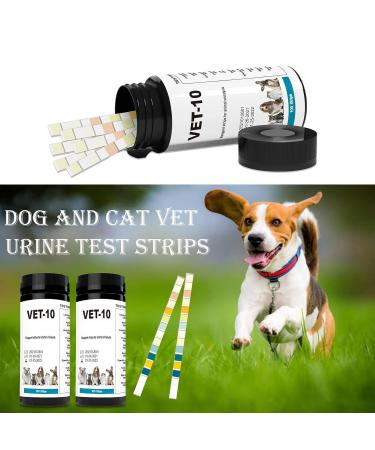 100 Urine Analysis Test Strips - 10 Parameter Test for Accurate Health Monitoring - Fast International Shipping - Buy Online on GoSupps.com