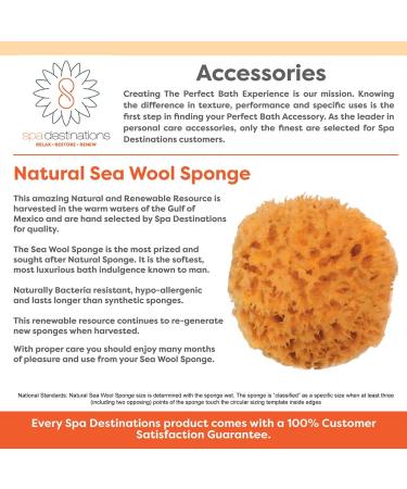 Facial Sea Wool Sponge 2-3 Pack by Spa Destinations - Buy Online on GoSupps.com