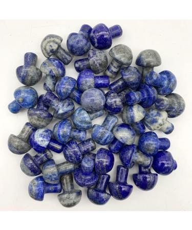 Natural Crystal Rough Home Decoration Natural Blue Lapis Lazuli Crystal Mushroom Shaped Polished QuartzStones Specimen Home Decoration Crystals Stones PEIQIYIN (Size : 1pc) - Buy Online on GoSupps.com