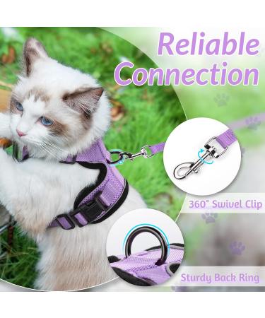 Rabbitgoo Cat Dishes & Harness Sets | Premium Cat Accessories for Happy Pets - Buy Online on GoSupps.com