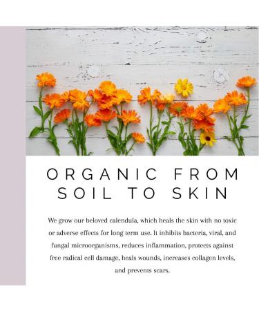 Pacific Facial Beauty Drops - Blackberry Restorative Night 1oz | Luxurious Skincare for Radiant Skin - Buy Online on GoSupps.com