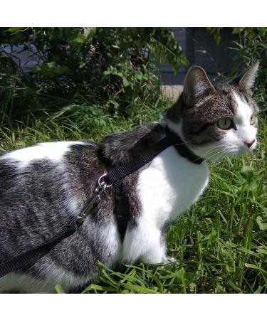 Jocxzi Adjustable Cat Leash & Vest Set - 2 Pack Harness Outbreak-Proof Pet ID Tags Black Cat Dishes - Ideal for International Shipping - Buy Online on GoSupps.com