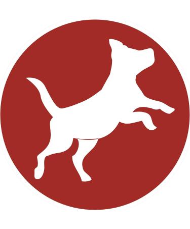 PURINA ONE MEDIUM MAXI Croquettes Rich in Beef with Rice for Adult Dogs 2.5 kg - Pack of 4 - Buy Online on GoSupps.com