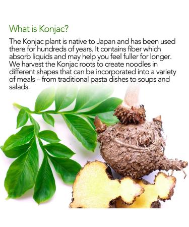 (Pack of 10) DIET COOKER Premium Konjac Noodles - Shirataki Fettuccine | Keto & Vegan Friendly - 9.52 oz | Low Calorie, Zero Net Carbs, Odor Free, Ready to Eat | Healthy Diet Food - Buy Online on GoSupps.com