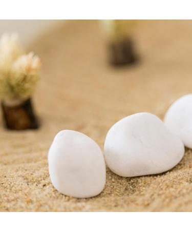 Natural Colour Silica Sand - COARSE Grain 1mm-2mm | Ideal for Aquariums Arts and Crafts and Gardening Soil (2KG) - Buy Online on GoSupps.com