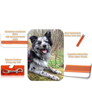 Twinkys Dog Style 15mm Wide Tow Leash - Durable 25m for Dogs Up to 50kg - Rubberized No Hand Loop Made in Germany - Orange - Buy Online on GoSupps.com