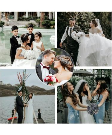 ISLHJDD Wedding Hair Clip Bridal Diamante Hair Comb Crystal Hair Comb Wedding Hair Accessory Decorative Wedding Hair Comb Hair Accessories for Brides Girls - Buy Online on GoSupps.com