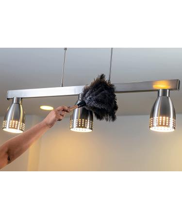 ROYAL DUSTER 14 Black Ostrich Feather Duster - Premium Quality - Buy Online on GoSupps.com