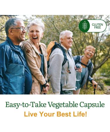 Omega 3-6-9 Blend with DPA EPA DHA ALA and GLA and Organic Flax Seed Oil Over 2 800 Milligram Strength - Gluten Free - Easy to Swallow - 60 SoftGels 60 Count (Pack of 1) - Buy Online on GoSupps.com