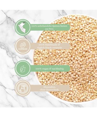  1001 Frucht 1001 Frucht Natural White Quinoa 500g Gluten-free quinoa seeds no preservatives or additives | Pseudo-cereal suitable for vegetarians and vegans | White quinoa from Peru - Buy Online on GoSupps.com