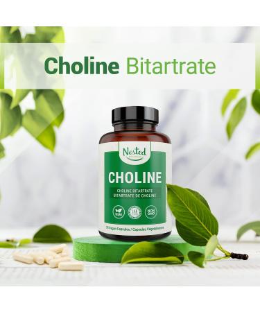 Nested Naturals Choline Bitartrate 500mg | High Potency Choline Supplements | Supports Cognitive Performance & Liver Function | 100% Vegan & Non-GMO Choline | 90 Vegan Capsules - Buy Online on GoSupps.com