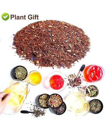 Plant Poison Vanilla Latte Rooibos Tea | Loose Leaf Blend with Chrysanthemum Orange Peel & Coffee Beans | 70g - Hot & Iced Tea - Buy Online on GoSupps.com
