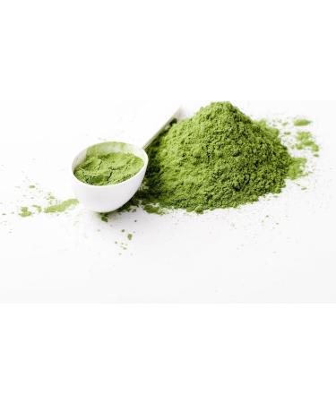 100% Pure Sun-Dried Wheatgrass Powder | Wheatgrass Shot | Smoothi/Juices | Energy Balls | Chemical-Free | Nutrient Retention | Preservative-Free Organic Vegan Eco-Friendly | 150 Grams | 5.29 oz - Buy Online on GoSupps.com