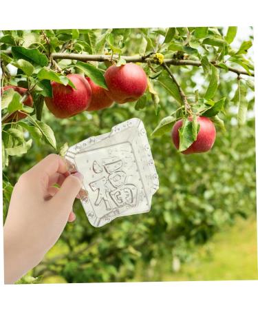 SUPVOX 10 Pcs Square Apple Molds Square Growth Molds Fruit Mold Shape Mold for Vegetable Stereotypes Melon - Buy Online on GoSupps.com