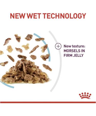 Royal Canin Sensory Feel In Jelly Wet Cat Food 12 x 85g Meat 12 count (Pack of 1) - Buy Online on GoSupps.com