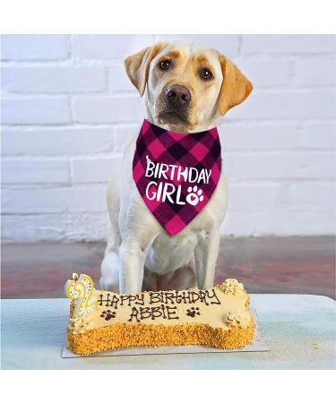 STMK Dog Birthday Bandana - Plaid Triangle Scarf for Medium Large Dogs Birthday Girl - Perfect Dog Birthday Supplies - Buy Online on GoSupps.com