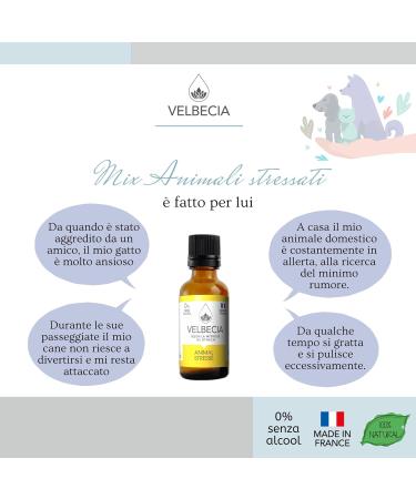 Velbecia - Dr Bach Flowers 30ml +1 FREE - ALCOHOL FREE - Stressed Animals - Soothes and calms your animal - Buy Online on GoSupps.com