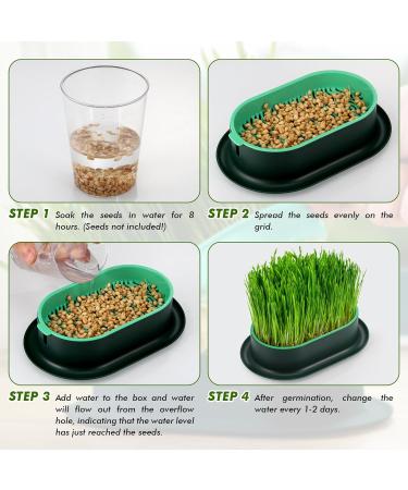 Hejo 2 PCS Cat Grass Seed Tray Plant Bowls for Cat Grass Catnip Cat Grass Box with 1 Plastic Scissors Plastic Soil Free Cat Plant Planting Box for Planting Cat Grass - Buy Online on GoSupps.com