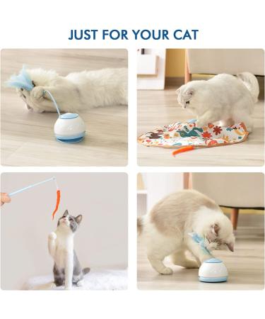 Tyasoleil Automatic Motion Cat Toy - Interactive Motorized Wand with Feathers | USB Charging, 4 Modes | Electronic Exercise Toy for Indoor Cats - Blue - Buy Online on GoSupps.com