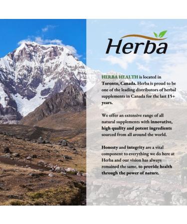 Herba Organic Black Maca Capsules - 500mg 180 Capsules | Peruvian Black Maca for Men and Women | Provides Antioxidants | Black Maca Root Capsules - Buy Online on GoSupps.com