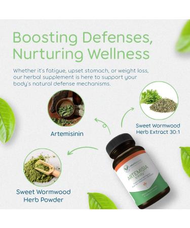 Return Healthy Artemisia Trinity | Cleansing for Adults with Wormwood Herb & Artemisinin 30:1 Extract | Resistance & Digestive Support | Herbal Supplements | Pure Plant-Based 90 Caps - Buy Online on GoSupps.com