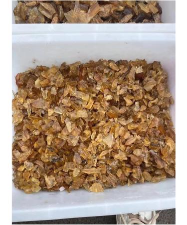 Natural Baltic Amber Loose Gemstone Rough Raw Stone Natural Resin Specimens ZJGIDTEM (Size : 50g) - Buy Online on GoSupps.com