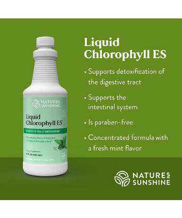 Nature's Sunshine Chlorophyll Liquid Extra Strength 16 fl. oz - Kosher Fresh Mint Chlorophyllin for Detox & Digestive Support - Buy Online on GoSupps.com